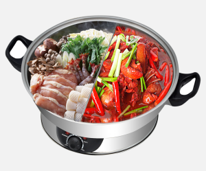 SET-500N Tiger hotpot, Sydney, Melbourne